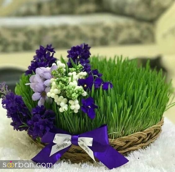 ‌‌مدل سبزه عید 1403 | مدل سبزه عید ساده اما لاکچری - تزیین سبزه عید برای عروس
