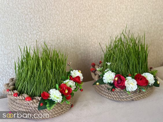 ‌‌مدل سبزه عید 1403 | مدل سبزه عید ساده اما لاکچری - تزیین سبزه عید برای عروس