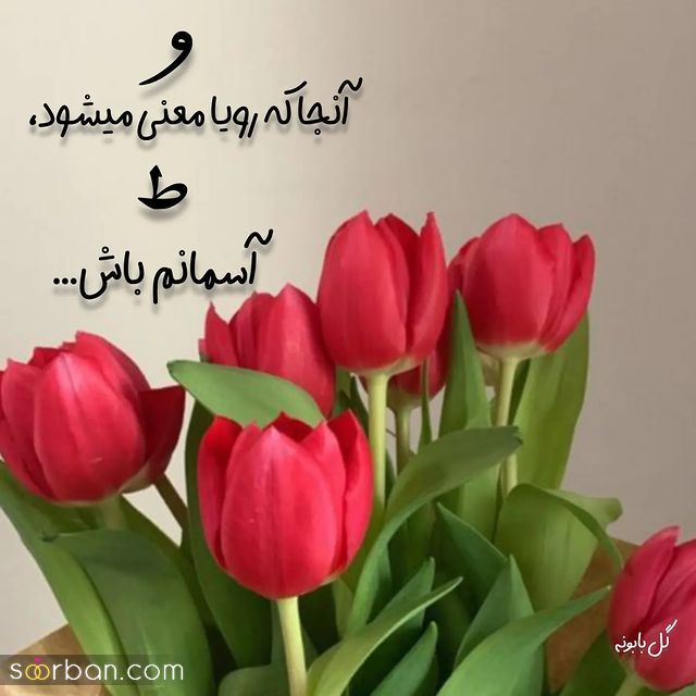 عکس عاشقانه 1403 با عکس پروفایل عاشقانه بدون متن حرف دلتو بهش بزن!