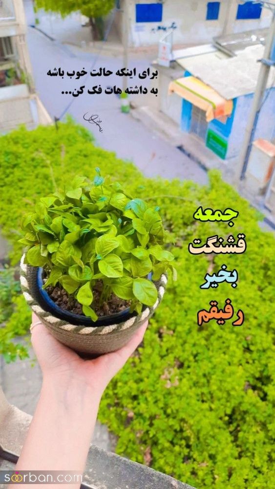 55 ایده دانلود عکس صبح بخیر زیبا برای استوری بلاگر