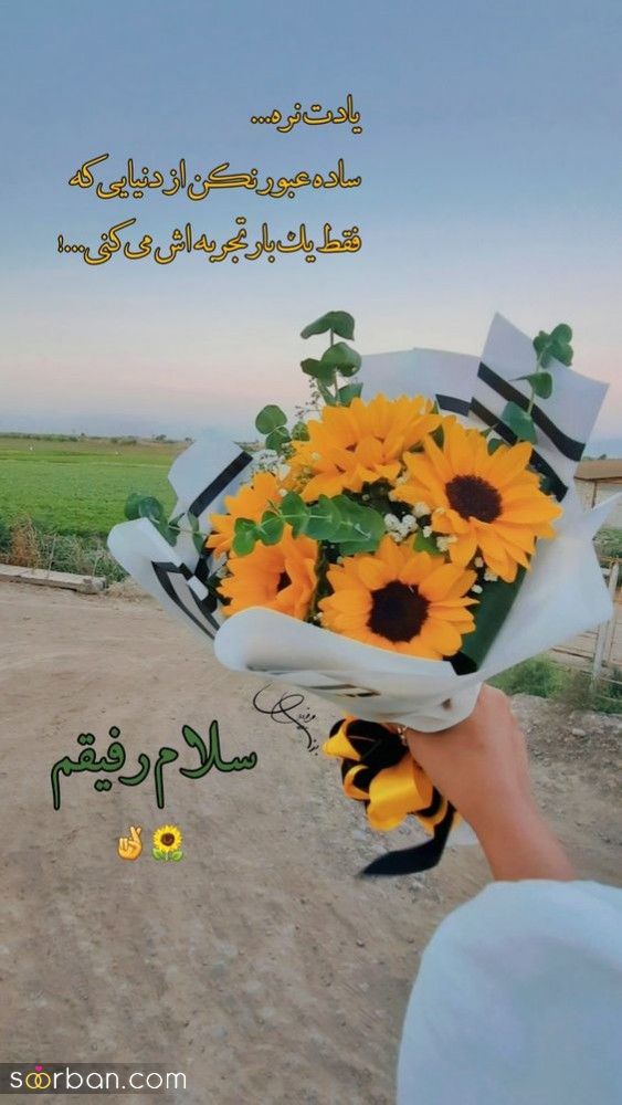 55 ایده دانلود عکس صبح بخیر زیبا برای استوری بلاگر