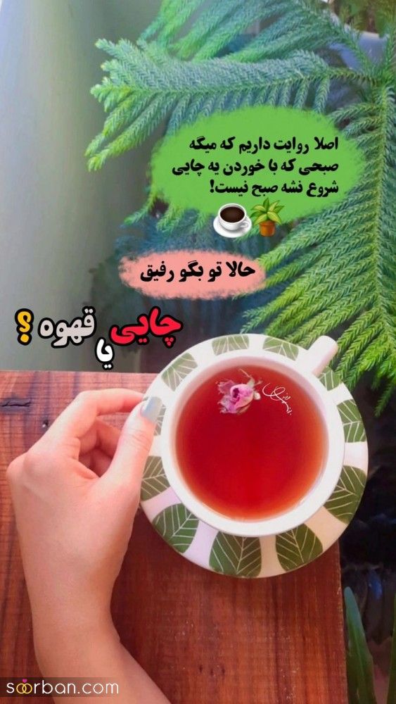 55 ایده دانلود عکس صبح بخیر زیبا برای استوری بلاگر