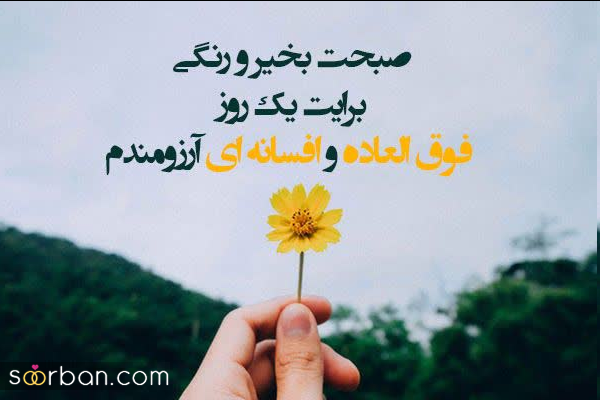 30 کپشن صبح بخیر برای بلاگرها ؛ خاص و انگیزشی با مفاهیم زیبا و انرژی بخش