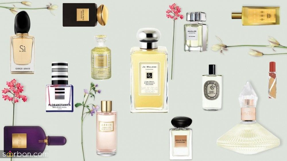 بهترین فروشگاه اینترنتی عطر و ادکلن | بهترین فروشگاه اینترنتی عطر و ادکلن - 7 سایت فروش عطر و ادکلن که عطربازها ازشون خرید می کنن!