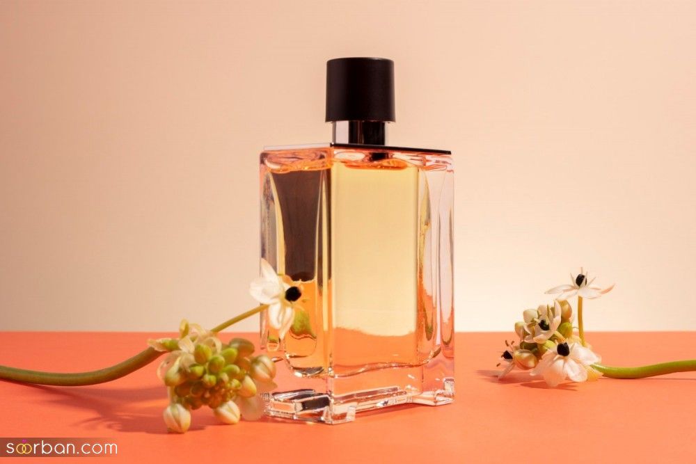 راهنمای انتخاب عطر امضا