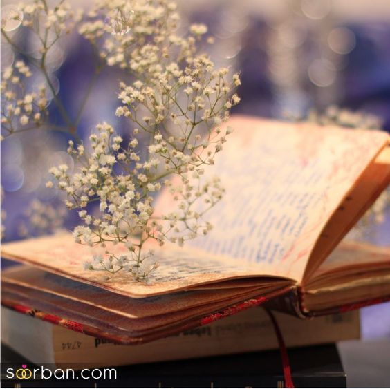 120 عکس پروفایل جدید امسال دخترانه و پسرانه با کیفیت شاد، غمگین، لاکچری، لاتی