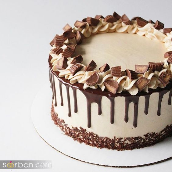 67 مدل تزیین کیک 2024 فوق العاده لاکچری با جدیدترین و زیباترین تزیین ها