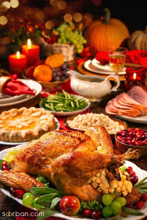 50 مدل تزیین مرغ ساده و شیک مجلسی با ایده های خلاقانه 1403