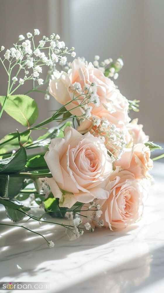 عکس گل 1403 | عکس گل بسیار زیبا برای پروفایل شاد | عکس گل برای پروفایل شاد دخترونه جدید