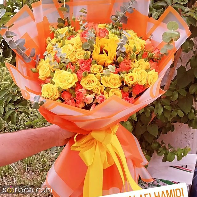 عکس گل 1403 | عکس گل بسیار زیبا برای پروفایل شاد | عکس گل برای پروفایل شاد دخترونه جدید