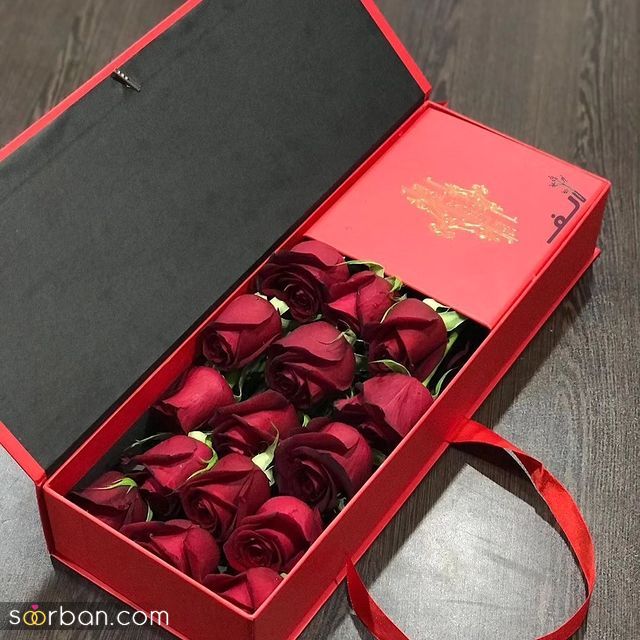 عکس گل 1403 | عکس گل بسیار زیبا برای پروفایل شاد | عکس گل برای پروفایل شاد دخترونه جدید