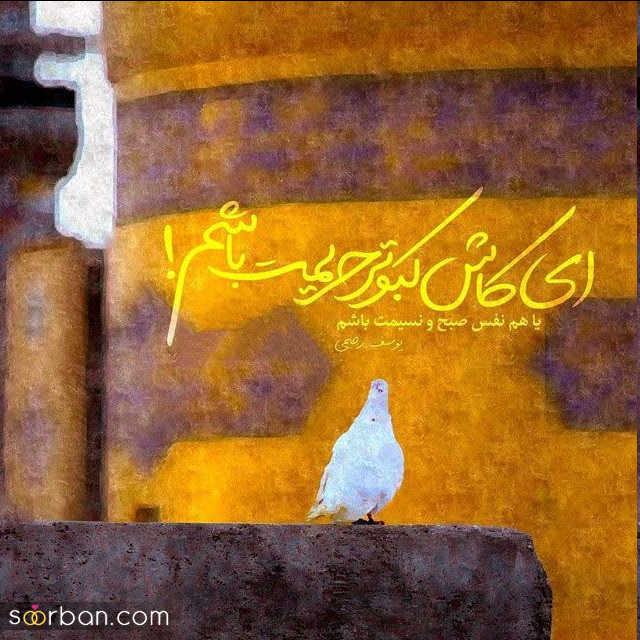 30 عکس نوشته ولادت امام رضا برای پروفایل و استوری + امکان دانلود با کیفیت بالا (ناب و احساسی جدید 1403)