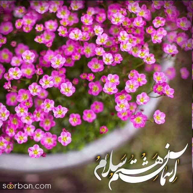 30 عکس نوشته ولادت امام رضا برای پروفایل و استوری + امکان دانلود با کیفیت بالا (ناب و احساسی جدید 1403)