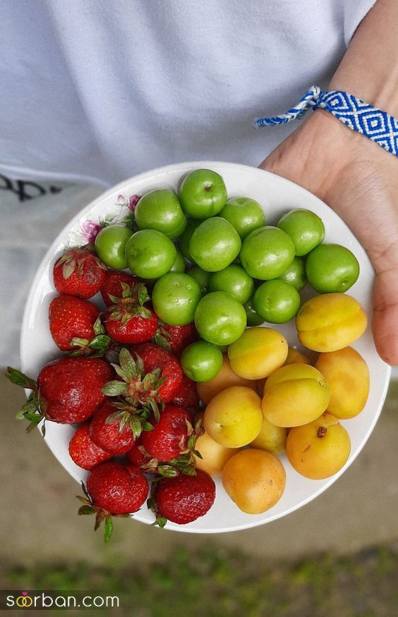 تزئین میوه های تابستانی | تزیین میوه های تابستانی برای مهمانی و تولد میخوای پذیرایی خاص و باکلاس داشته باشی؟