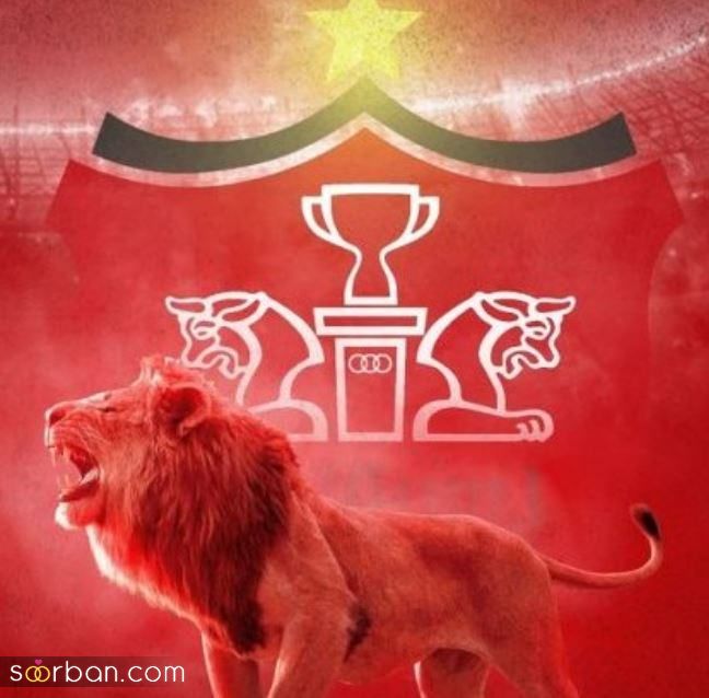 عکس و استوری قهرمانی پرسپولیس | 30 عکس و استوری قهرمانی پرسپولیس برای تبریک و کل کل با اس اس!