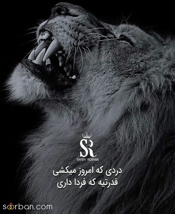 40 ایده پروفایل سنگین و باکلاس خاص با متن های مفهومی خفن فاز بالا