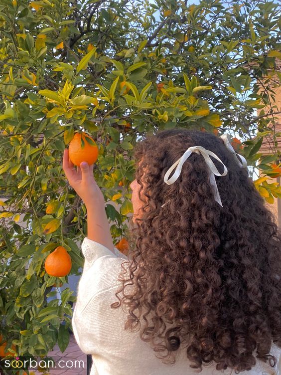 مدل مو فر 1403 | مدل مو فر 1403 شینیون و روزمره و عروسی و مهمونی دیگه موهای فرتو صاف نکنی!