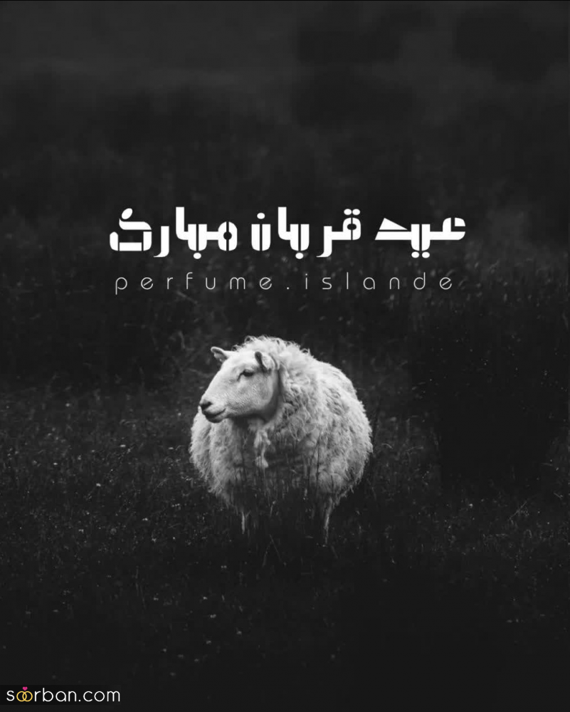 20 عکس تبریک عید قربان 1403 برای پروفایل، استوری و پست + دانلود با کیفیت بالا