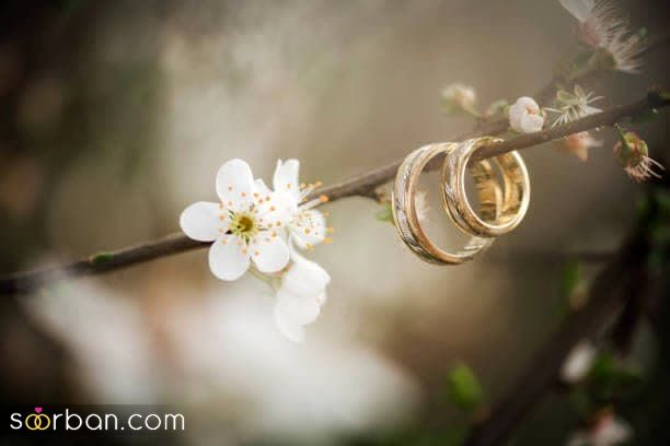 یه عروسی کم خرج و آبرومند در سال 1403 چقد هزینه برمیداره؟