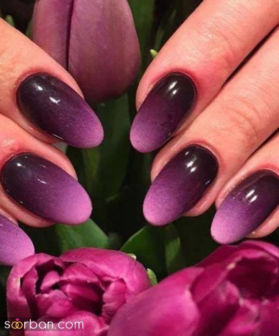 53 مدل ناخن بنفش لاکچری جذاب و شیک با طرح های خیره کننده متنوع