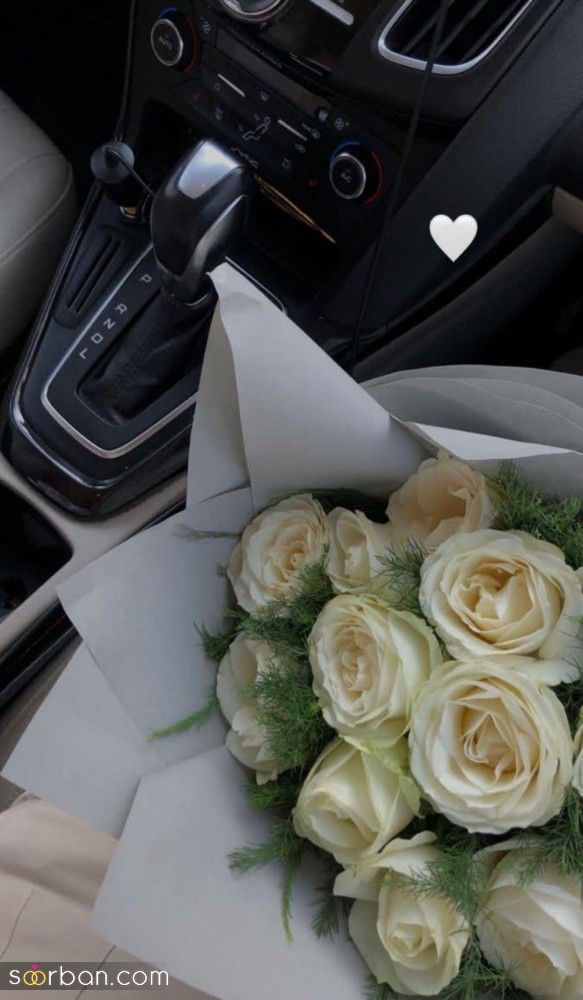 عکس گل 1403 | عکس گل بسیار زیبا برای پروفایل شاد | عکس گل برای پروفایل شاد دخترونه جدید