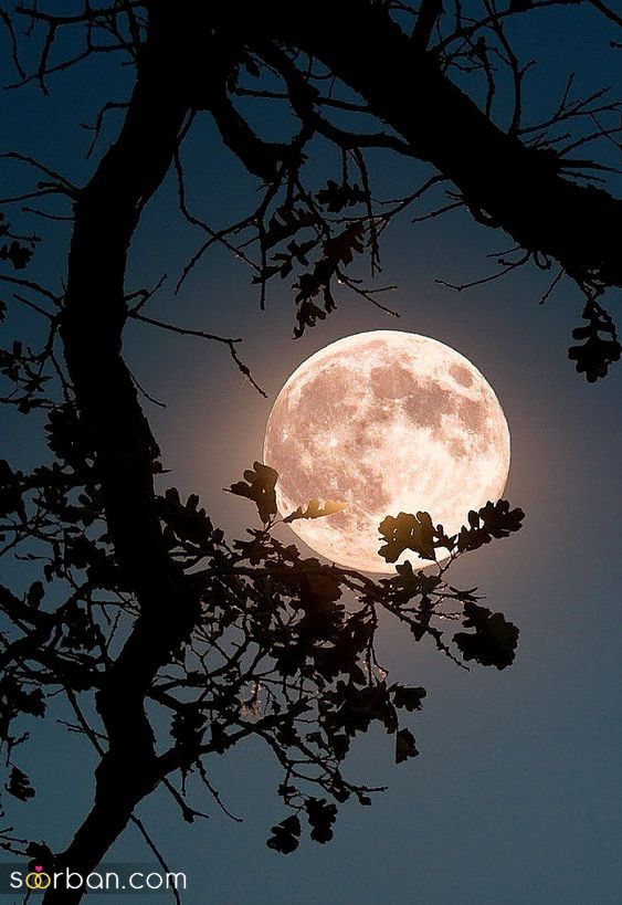 عکس ماه 1404 هنری / تصاویر ماه از نمای نزدیک و کامل [جذاب و دیدنی]