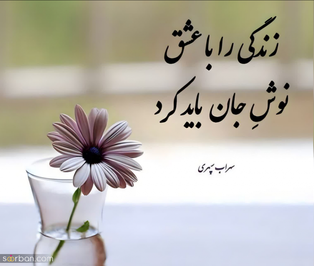 اشعار کوتاه و عاشقانه سهراب سپهری برای کارت عروسی ❤️(15 مورد ناب گلچین شده)