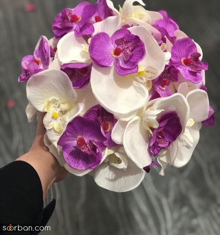 ۳۰ ایده دسته گل عروس ارکیده ۲۰۲۴ خاص و لاکچری مخصوص عروس های با سلیقه!
