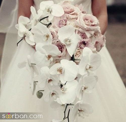 ۳۰ ایده دسته گل عروس ارکیده ۲۰۲۴ خاص و لاکچری مخصوص عروس های با سلیقه!