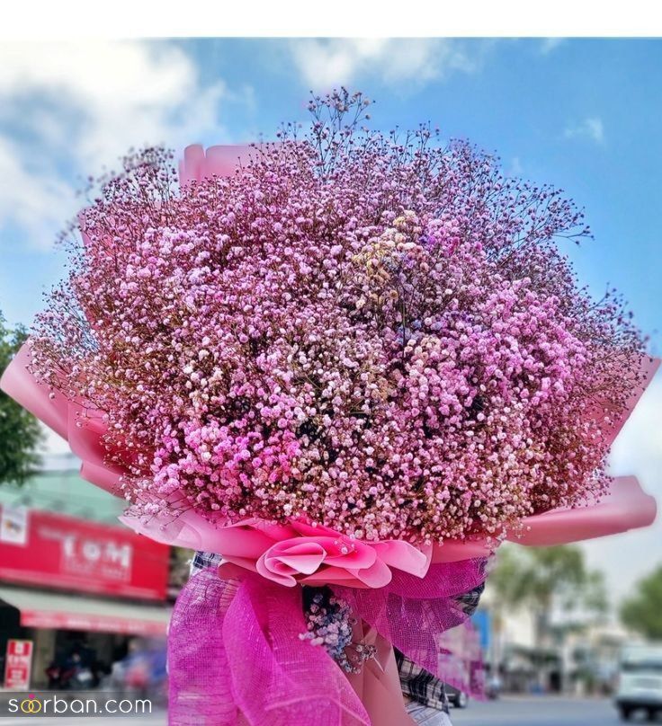 ۳۵ مدل دسته گل ژیپسوفیلا جدید ۲۰۲۴ جذاب و شیک برای تبدیل دسته گلتان به یک اثر هنری!