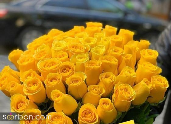 عکس دسته گل زیبا 2025 ساده و شیک که میتونی باهاش عشقت رو سورپرایز کنی!