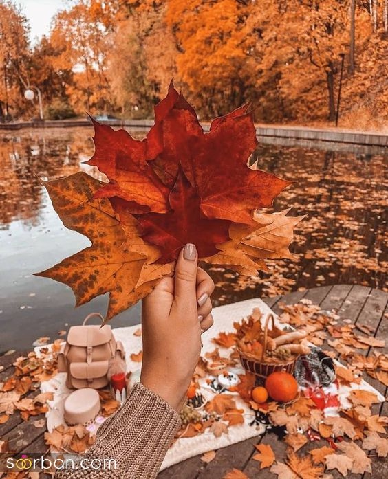 40 مدل ژست عکس با برگ پاییزی دخترانه جدید ساده و خاص با ایده های حرفه ای ناب و جذاب 