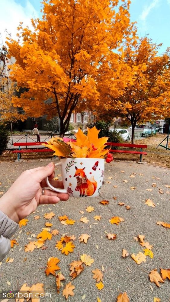40 مدل ژست عکس با برگ پاییزی دخترانه جدید ساده و خاص با ایده های حرفه ای ناب و جذاب 