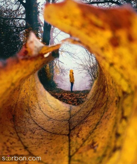 40 مدل ژست عکس با برگ پاییزی دخترانه جدید ساده و خاص با ایده های حرفه ای ناب و جذاب 