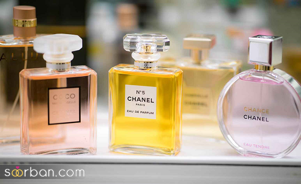 بهترین عطر شنل مردانه و زنانه | انواع ادکلن شنل چنس