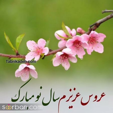 پروفایل سال نو ۱۴۰۴ | جدیدترین و جذاب‌ترین طرح‌ های پروفایل نوروز 1404 + امکان دانلود با کیفیت بالا