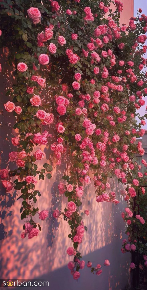 عکس بهار | ۲۵ عکس بهار چشم‌نواز و دیدنی مناسب برای پروفایل و استوری نوروزی ۱۴۰۴ (با کیفیت بالا و دانلود راحت)