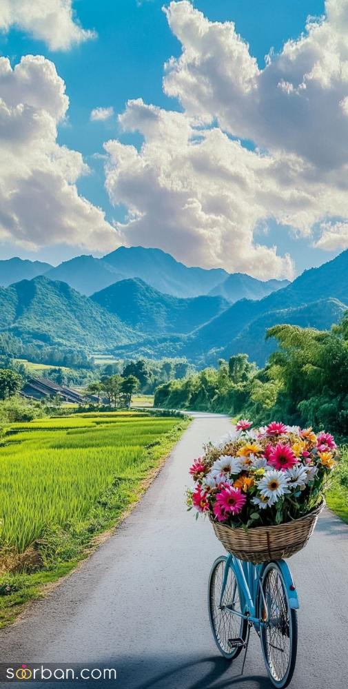 عکس بهار | ۲۵ عکس بهار چشم‌نواز و دیدنی مناسب برای پروفایل و استوری نوروزی ۱۴۰۴ (با کیفیت بالا و دانلود راحت)