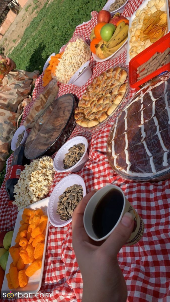 سیزده بدر فیک | ۴۰ عکس فیک سیزده بدر برای استوری، پست، وضعیت واتساپ و پروفایل (شیک و جذاب با واقعیش مو نمیزنه)