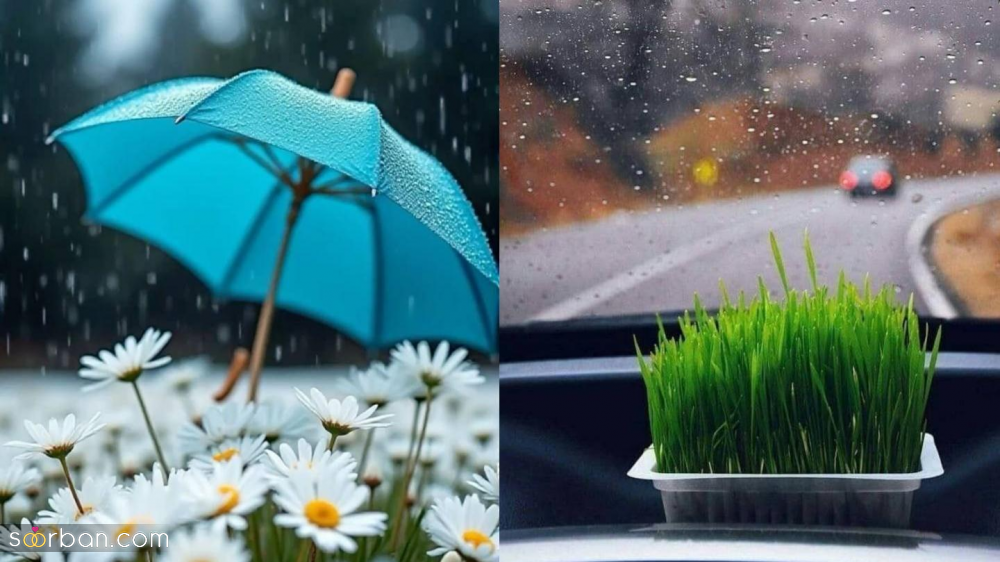 پیش بینی آب و هوای سیزده بدر ۱۴۰۴ در شهرهای بزرگ (تهران، مشهد، اصفهان، کرمانشاه و...) کدام استانها بارانی اند؟