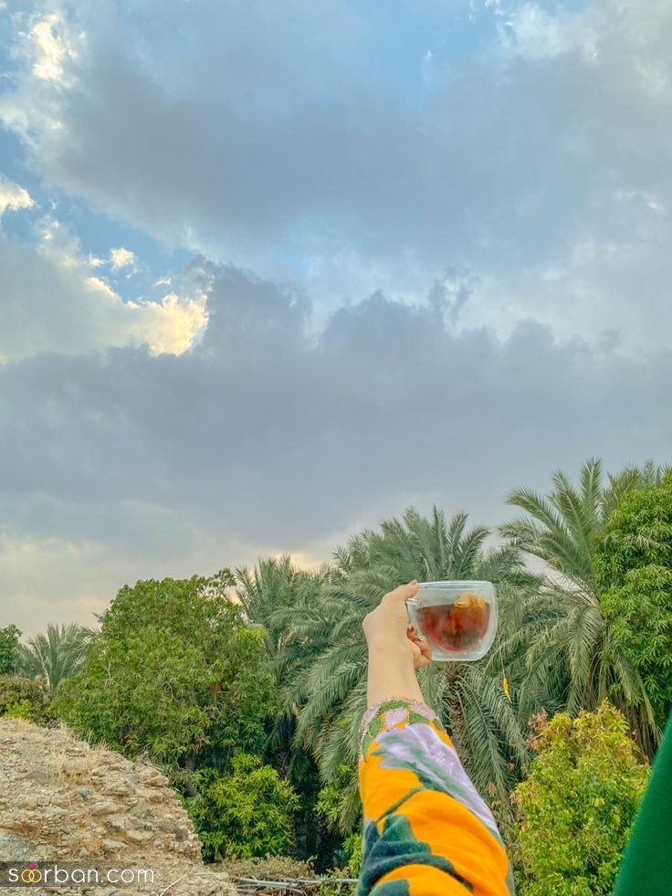 پیش بینی آب و هوای سیزده بدر ۱۴۰۴ در شهرهای بزرگ (تهران، مشهد، اصفهان، کرمانشاه و...) کدام استانها بارانی اند؟