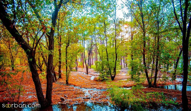 دیگه نپرس سیزده بدر تهران کجا بریم؟ این شما و این یک لیست توپ ۱۵ تایی از جاهای دیدنی تهران برای سیزده بدر ۱۴۰۴ + عکس، آدرس و هزینه ورودی!