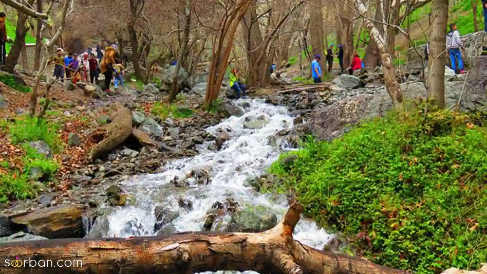 دیگه نپرس سیزده بدر تهران کجا بریم؟ این شما و این یک لیست توپ ۱۵ تایی از جاهای دیدنی تهران برای سیزده بدر ۱۴۰۴ + عکس، آدرس و هزینه ورودی!