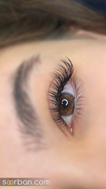 مدل مژه اسپایکی | ۳۰ طرح ترند مدل مژه اسپایکی برای داشتن چشمانی خیره‌کننده【 گربه‌ای، نچرال، عروسکی، سنجابی】