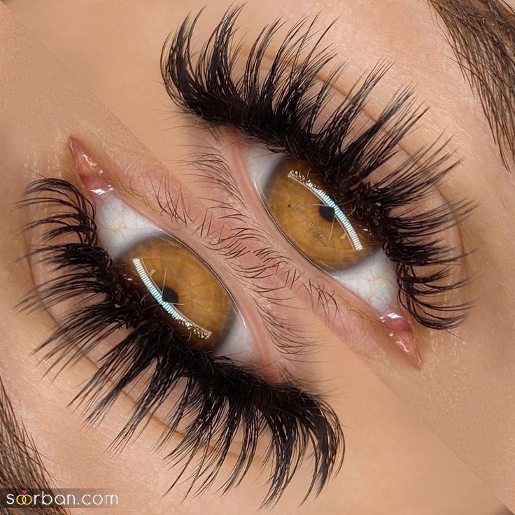 مدل مژه اسپایکی | ۳۰ طرح ترند مدل مژه اسپایکی برای داشتن چشمانی خیره‌کننده【 گربه‌ای، نچرال، عروسکی، سنجابی】