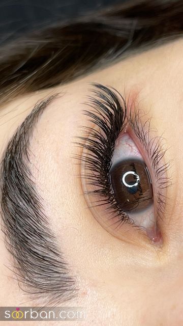 مدل مژه اسپایکی | ۳۰ طرح ترند مدل مژه اسپایکی برای داشتن چشمانی خیره‌کننده【 گربه‌ای، نچرال، عروسکی، سنجابی】