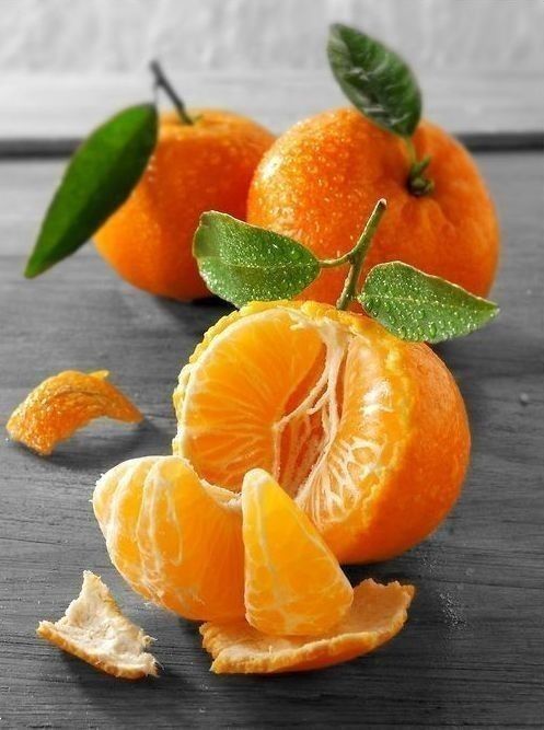مدل طبیعت بی جان | ۳۰ مدل طبیعت بی‌جان متنوع برای نقاشی و طراحی ، از میوه تا اشیای کلاسیک!