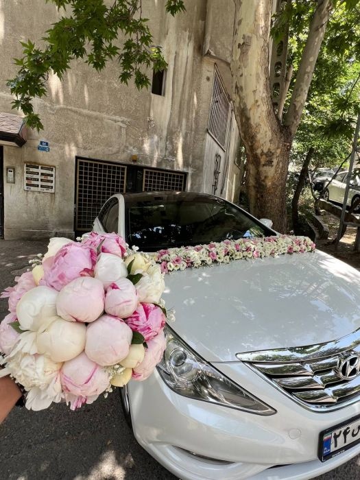 اجاره ماشین عروس رنت کنیم12