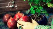 تبریک شب یلدا برای وضعیت واتساپ و استوری همراه با عکس های هنری زیبا
