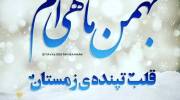 عکس پروفایل متولد بهمن جدید / همراه با خصوصیات مناسب پروفایل